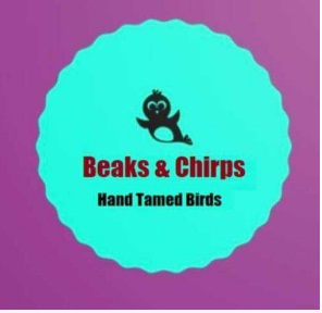 Beaks and Chirps