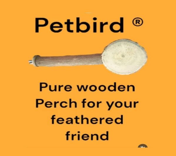 Pure Wooden Perch with Thick Platform