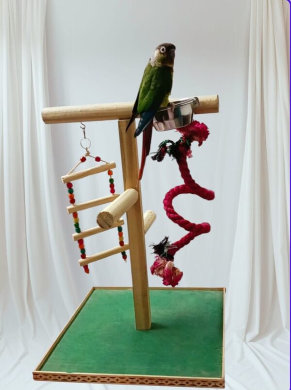 Bird Activity Stand with Fruit Bowl, Rope and Ladder