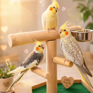 Bird Stand with Seedbowl