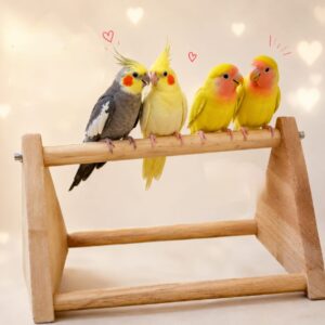 Triangular Wooden Bird Stand