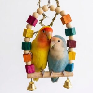 Bird Swing Chewing Toy