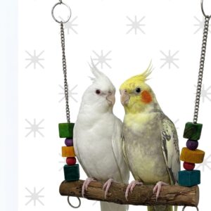 Pure Wooden Swing with Colorful blocks