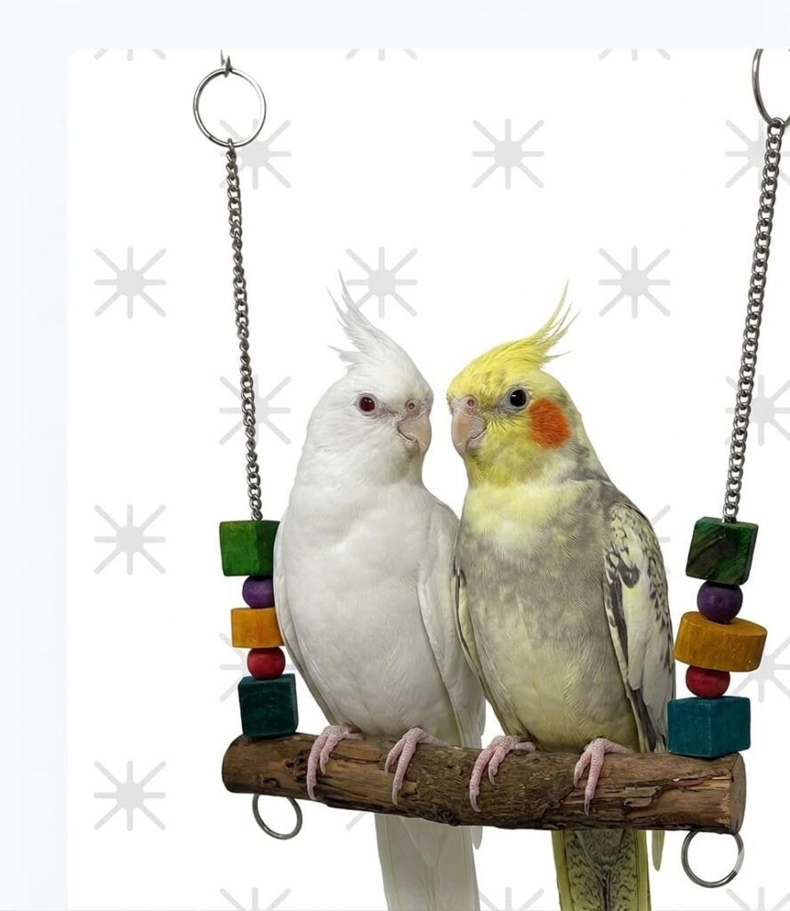 Pure Wooden Swing with Colorful blocks