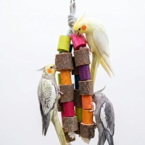 Foraging Chewable Hanging Toy