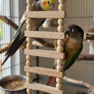 Wooden Ladder Bird Toy