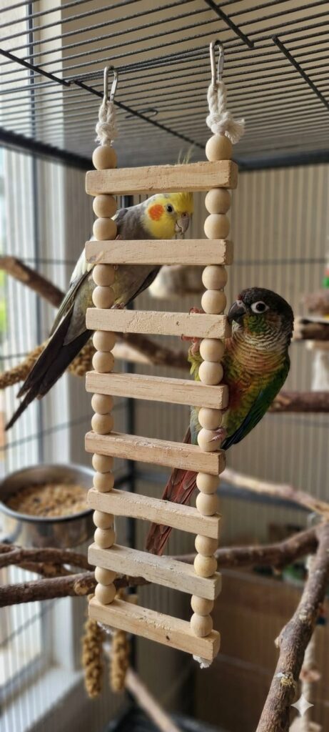 Wooden Ladder Bird Toy