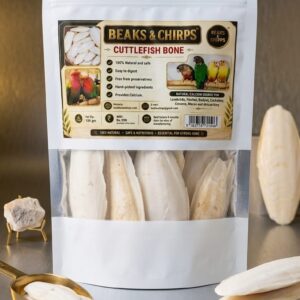 Cuttlefish for lovebirds, cockatiels, conures & big birds