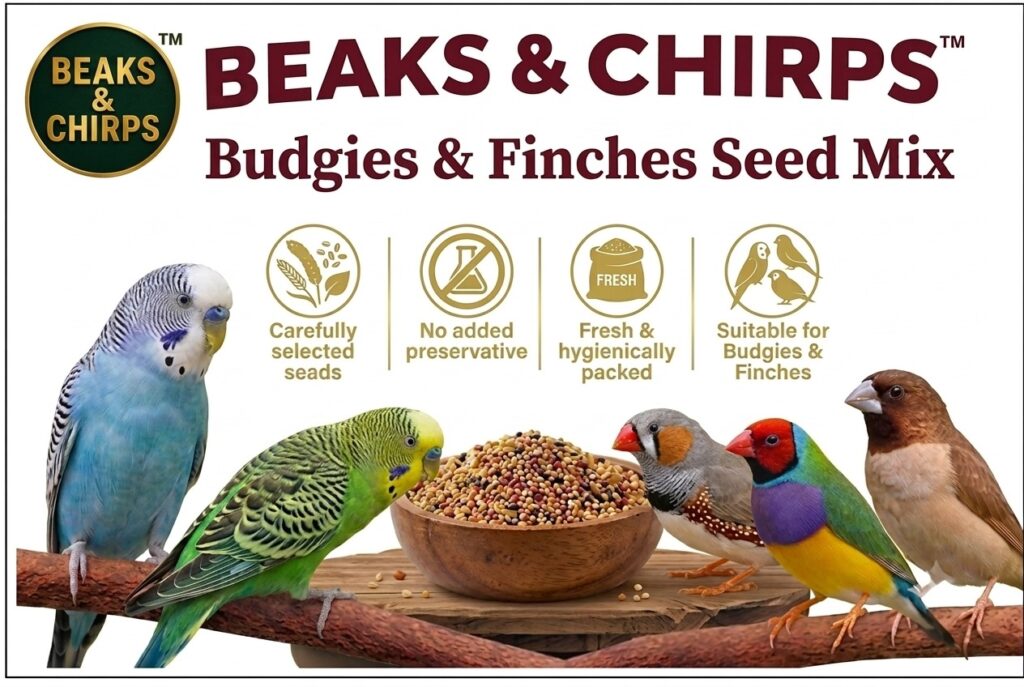 Budgies and Finches Seed Mix