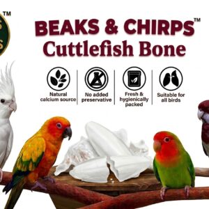 Cuttlefish for lovebirds, cockatiels, conures & big birds