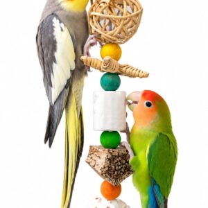 Feathered Treasure – Premium Foraging & Enrichment Toy