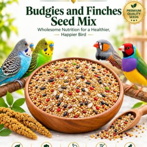 Budgies and Finches Seed Mix